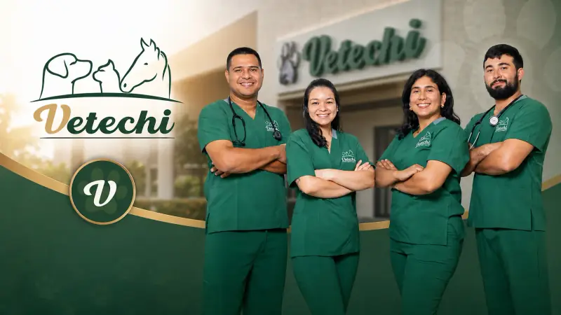 Equipo médico veterinario de VETECHI - Profesionales especializados